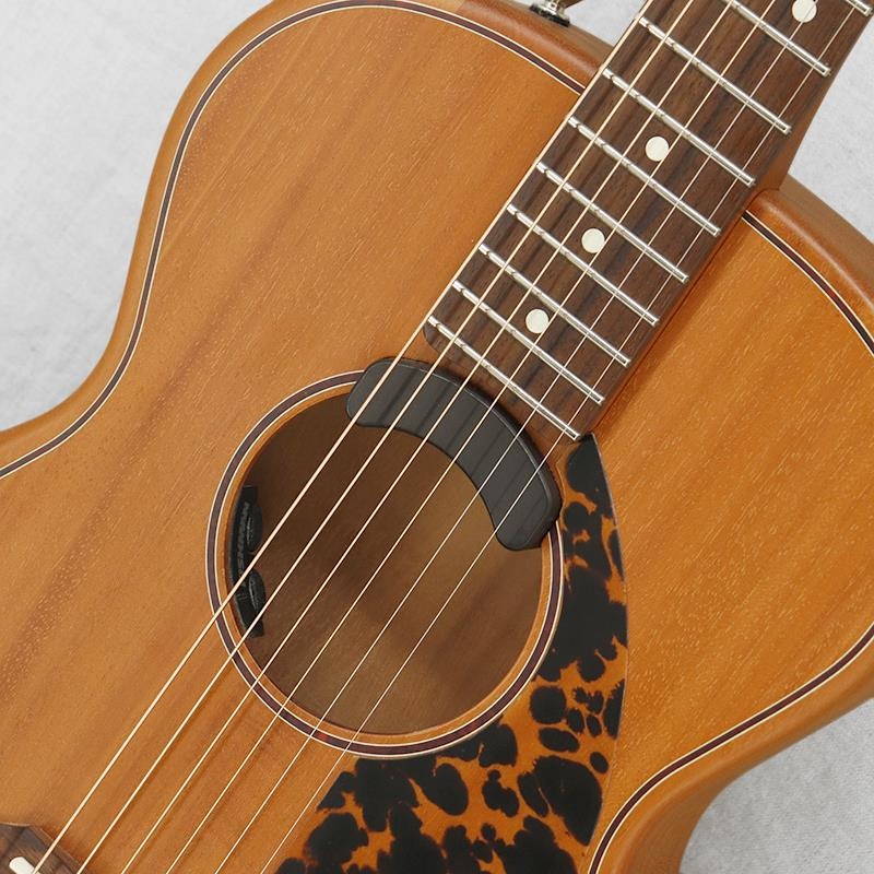 Fender Acoustics USED 中古 Highway Series Parlor All Mahogany '23