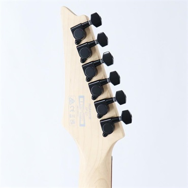 Ibanez USED 中古 RGA42FM-BLF(Blue Lagoon Burst Flat)[SN.1250701031]アイバニーズ 画像5