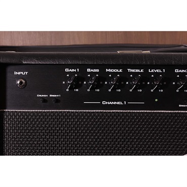Suhr Amps PF100 (Peter Frampton Signature Head Amp) 画像2