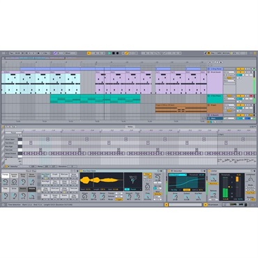 ableton Move + Live 12 Suite バンドル 【お取り寄せ委商品 / 納期は別途ご連絡】(エイブルトン) 画像5
