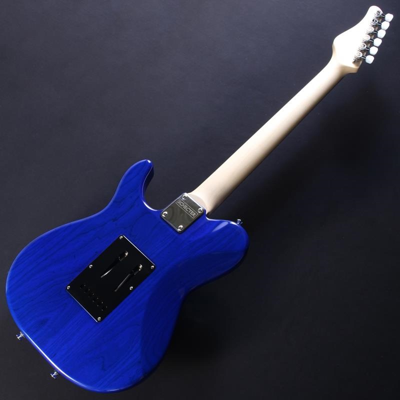 SCHECTER PT-24-CTM-VTR (Trans Purple Burst/Ebony) [Sound Messe