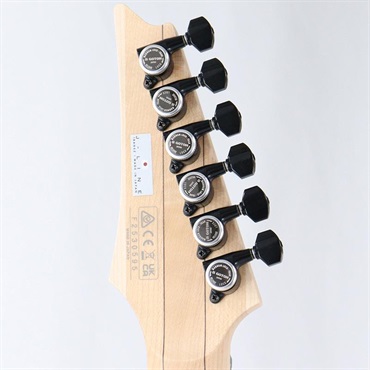 Ibanez J-LINE RG6HSHFX-BKF (Black Flat) 【キズあり特価】 画像8