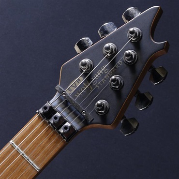 EVH USED 中古 Wolfgang Standard Exotic Bocote (Natural/Baked Maple