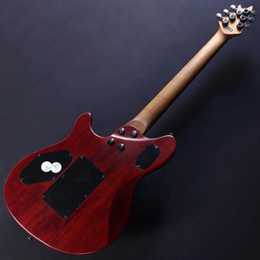 EVH USED 中古 Wolfgang Standard Exotic Bocote (Natural/Baked Maple