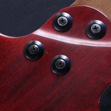 EVH USED 中古 Wolfgang Standard Exotic Bocote (Natural/Baked Maple