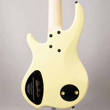 DINGWALL JT-3 5st John Taylor Signature Model (Primrose/M) 【値上げ前旧価格品】 画像2