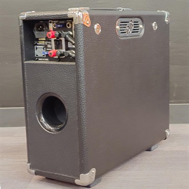 PJB（Phil Jones Bass） USED 中古 BriefCase ｜イケベ楽器店