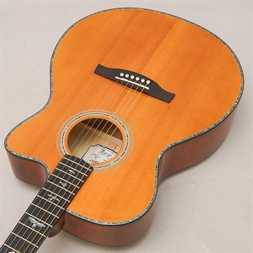 P.R.S. USED 中古 A50E Angelus ポールリードスミス 画像4