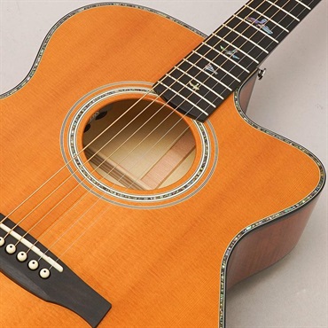 P.R.S. USED 中古 A50E Angelus ポールリードスミス 画像6