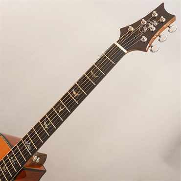 P.R.S. USED 中古 A50E Angelus ポールリードスミス 画像8