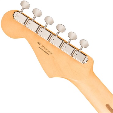 Fender MEX 【6月下旬入荷予定】 Player II Stratocaster (Cactus Gray/Rosewood) 画像4