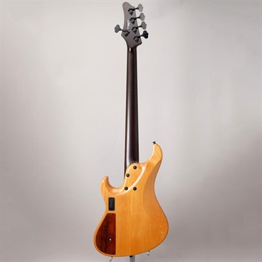 Ibanez VISONS IV2MDM [Limited Model] 画像3