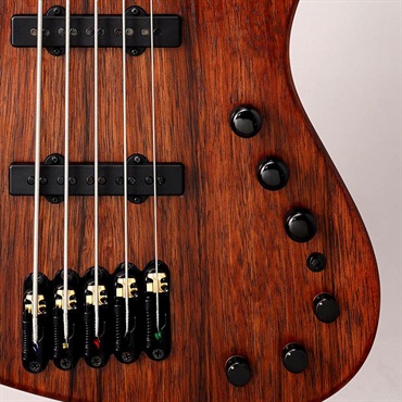 Ibanez VISONS IV2MDM [Limited Model] 画像8
