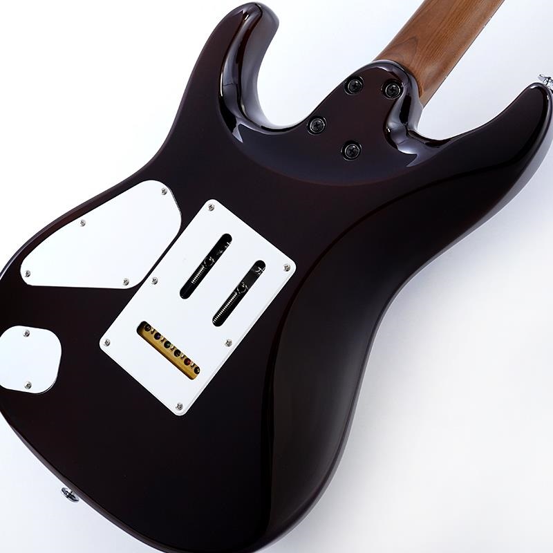 Ibanez Prestige AZ2204NJA-TS (Tobacco Sunburst) [Limited Model] SN