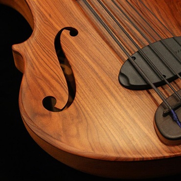 Stradi Symphony 5 - Profundus (Pau Ferro Top / Deep Hollow Body) 画像3
