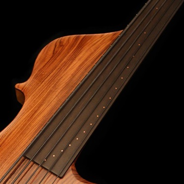 Stradi Symphony 5 - Profundus (Pau Ferro Top / Deep Hollow Body) 画像6