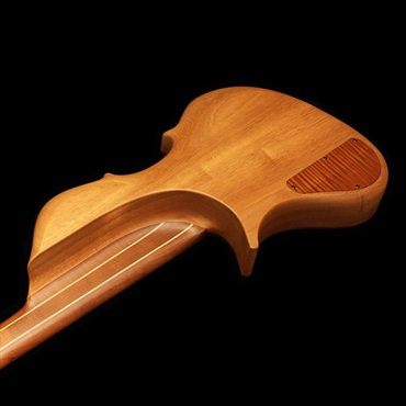 Stradi Symphony 5 - Profundus (Pau Ferro Top / Deep Hollow Body) 画像8