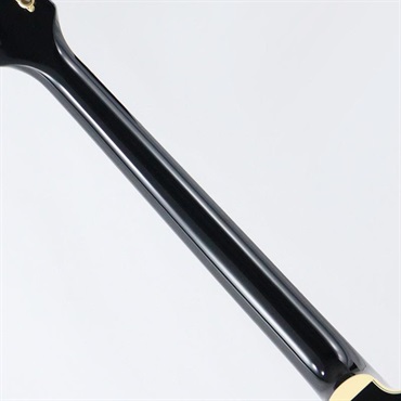 GRETSCH Professional Collection Broadkaster LX Center Block with String-Thru Bigsby and Gold Hardware (Black/Ebony) 画像7