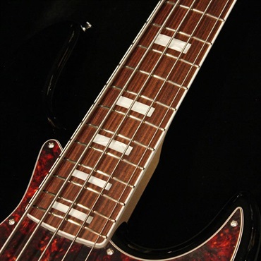 Xotic XJ-Core 5st (Alder/Black-MH) 画像5