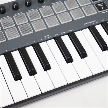 NOVATION USED 中古 FLKey Mini (ノベーション)(MIDIキーボード)(25鍵
