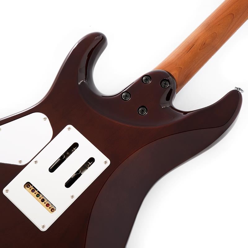 Ibanez Prestige AZ2204NJA-TS (Tobacco Sunburst) [Limited Model] SN