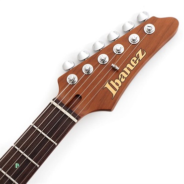 Ibanez Prestige AZ2204NJA-TS (Tobacco Sunburst) [Limited Model] SN.F2518219 画像6