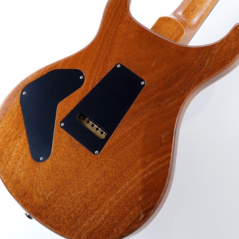 P.R.S. Custom 24 Piezo (Aurora Borealis) SN.0419103【2025年生産品