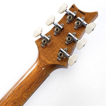 P.R.S. Custom 24 Piezo (Aurora Borealis) SN.0419103【2025年生産品】 画像9