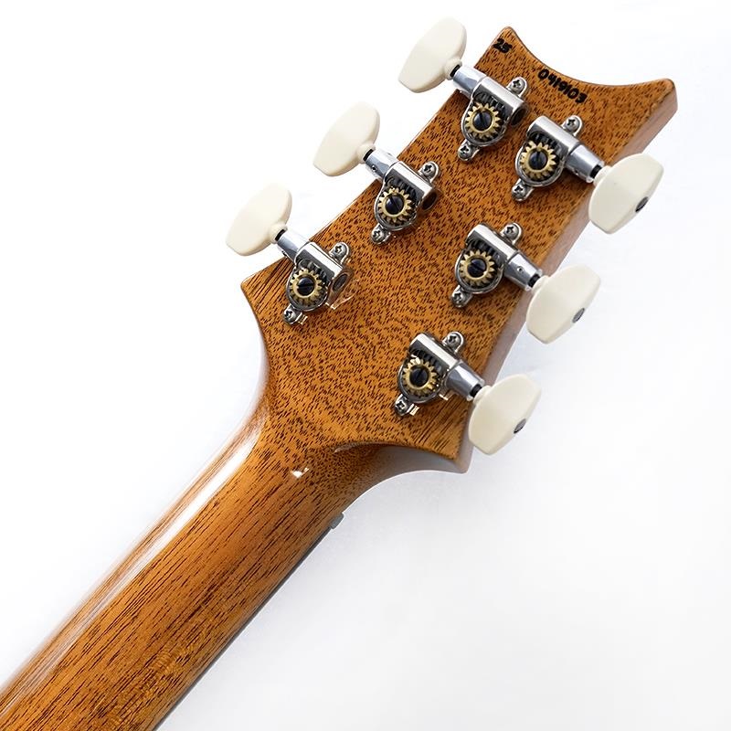 P.R.S. Custom 24 Piezo (Aurora Borealis) SN.0419103【2025年生産品