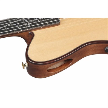 Ibanez TOD100N-NT【2026年9月末頃順次入荷予定】 アイバニーズ 画像9