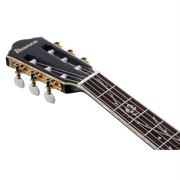 Ibanez TOD20FMN-BFL【2026年9月末頃順次入荷予定】 アイバニーズ 画像6