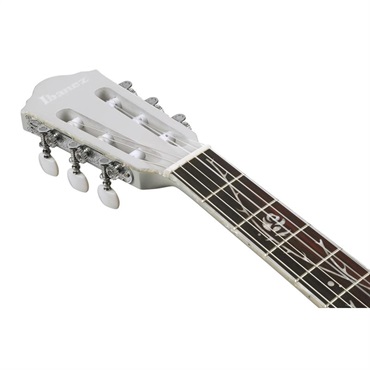 Ibanez 【SPOT生産モデル】TOD10N-SMF【2026年8月末頃順次入荷予定】 アイバニーズ 画像6