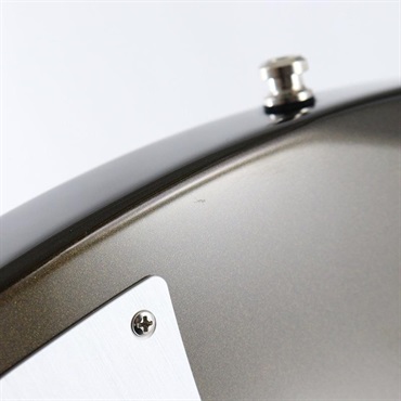 Fender USA American Ultra II Meteora (Texas Tea/Ebony) [SN.US24020050] 【B級特価】 画像8