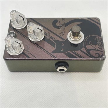 Vivie USED 中古 Wild Cat OD 画像3