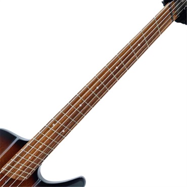 DINGWALL USED 中古 D-Roc Standard 5strings (Matte Vintageburst) 画像4
