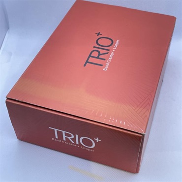 Digitech USED 中古 TRIO+ 画像6