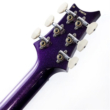 P.R.S. Studio Sprayer’s Choice (Custom Color) SN.0415731 2025年生産品 画像9