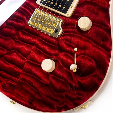 P.R.S. Private Stock #12096 Custom 24 (Red Tiger) 画像4