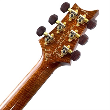 P.R.S. Private Stock #12096 Custom 24 (Red Tiger) 画像9