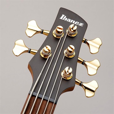 Ibanez Prestige SR6605-GFB 【数量限定特価】 画像6