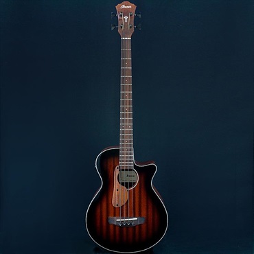 Ibanez USED 中古 AEGB24E-MHS ｜イケベ楽器店オンラインストア