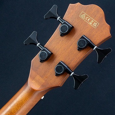 Ibanez USED 中古 AEGB24E-MHS ｜イケベ楽器店オンラインストア