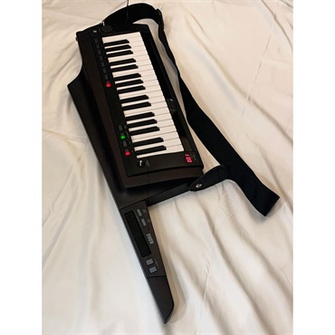 KORG 【大決算セール】RK-100S2 BK (ブラック) (1台限定・展示入替特価品) コルグ　キーター 画像1