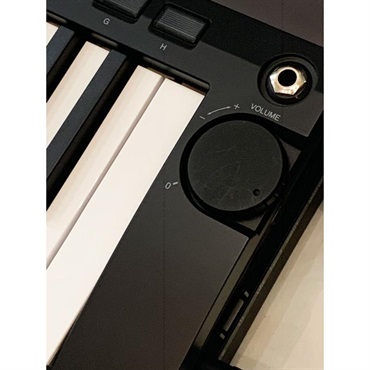 KORG 【大決算セール】RK-100S2 BK (ブラック) (1台限定・展示入替特価品) コルグ　キーター 画像4