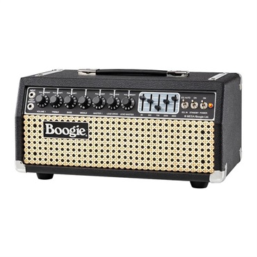 Mesa Boogie Mark IIC+ HRG Head 画像3