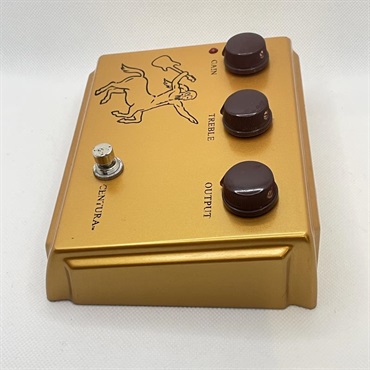 unknown USED 中古 Centura Matte Gold 画像2