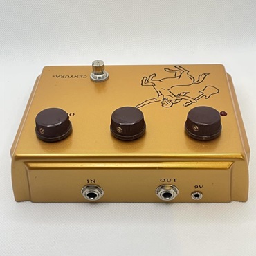 unknown USED 中古 Centura Matte Gold 画像4
