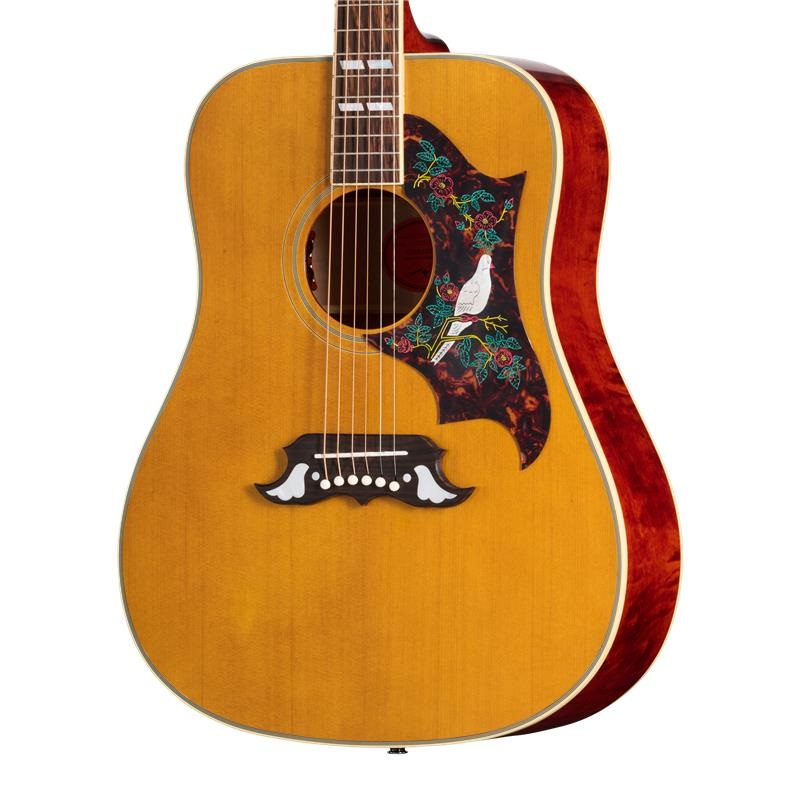 Epiphone 【数量限定エピフォン・アクセサリーパック・プレゼント