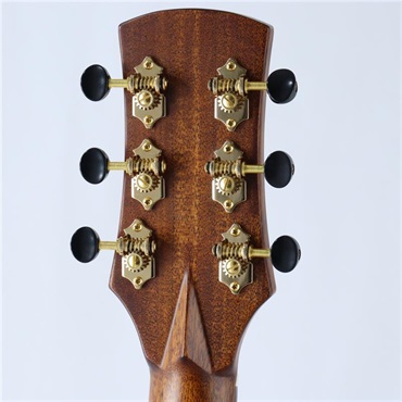 FONZO GUITARS V-301S-SJFC/with Anthem SL フォンゾ 画像7