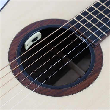 FONZO GUITARS V-301S-SJFC/with Anthem SL フォンゾ 画像8